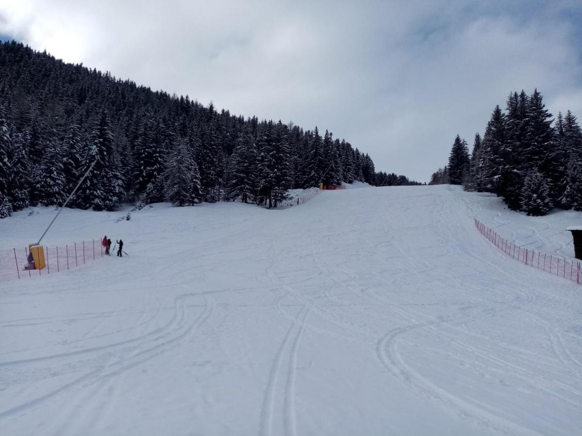 Comodo Alloggio Con Accesso Diretto Alle Piste Santa Caterina Valfurva Eksteriør bilde